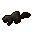 Beaver