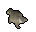Baby chinchompa