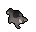 Baby chinchompa