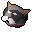 Pet cat