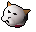 Pet cat