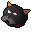 Pet cat