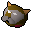 Pet cat
