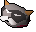 Pet cat
