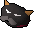 Pet cat