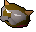 Pet cat
