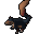 Giant squirrel